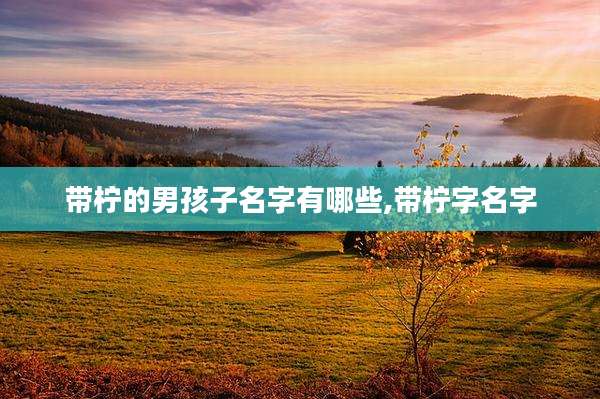 带柠的男孩子名字有哪些,带柠字名字