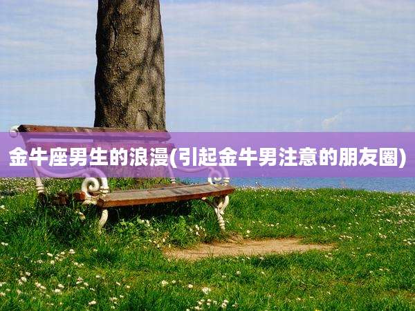 金牛座男生的浪漫(引起金牛男注意的朋友圈)