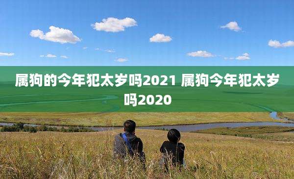 属狗的今年犯太岁吗2021 属狗今年犯太岁吗2020