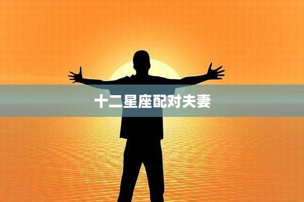 十二星座配对夫妻