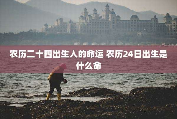 农历二十四出生人的命运 农历24日出生是什么命