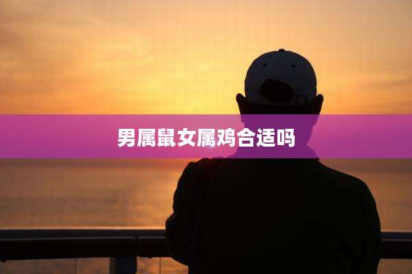 男属鼠女属鸡合适吗