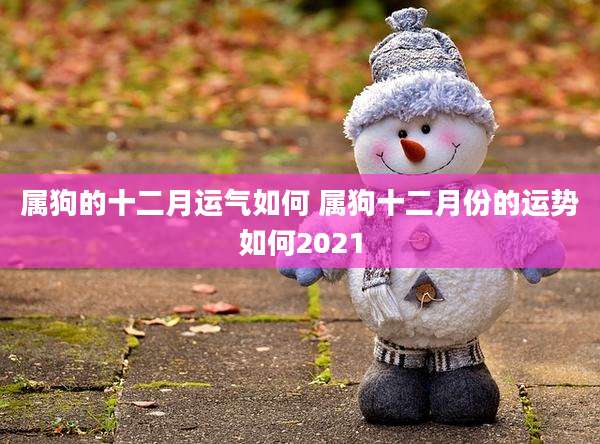 属狗的十二月运气如何 属狗十二月份的运势如何2021