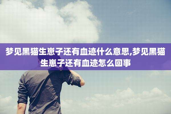 梦见黑猫生崽子还有血迹什么意思,梦见黑猫生崽子还有血迹怎么回事