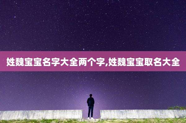 姓魏宝宝名字大全两个字,姓魏宝宝取名大全