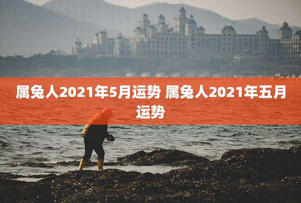 属兔人2021年5月运势 属兔人2021年五月运势