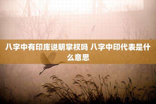 八字中有印库说明掌权吗 八字中印代表是什么意思