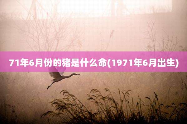 71年6月份的猪是什么命(1971年6月出生)