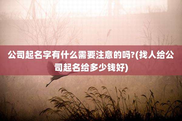 公司起名字有什么需要注意的吗?(找人给公司起名给多少钱好)