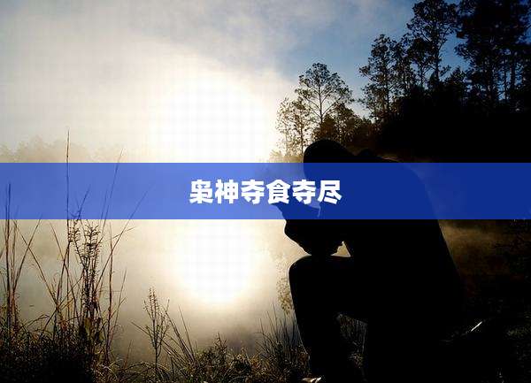 枭神夺食夺尽