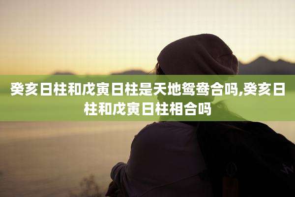 癸亥日柱和戊寅日柱是天地鸳鸯合吗,癸亥日柱和戊寅日柱相合吗