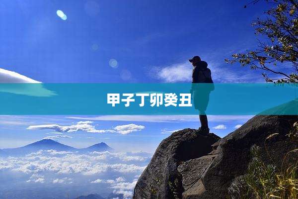 甲子丁卯癸丑