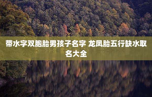 带水字双胞胎男孩子名字 龙凤胎五行缺水取名大全