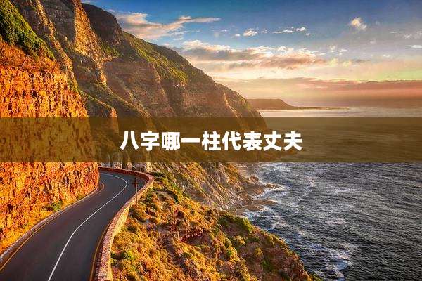 八字哪一柱代表丈夫