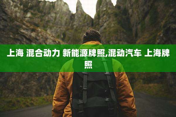 上海 混合动力 新能源牌照,混动汽车 上海牌照