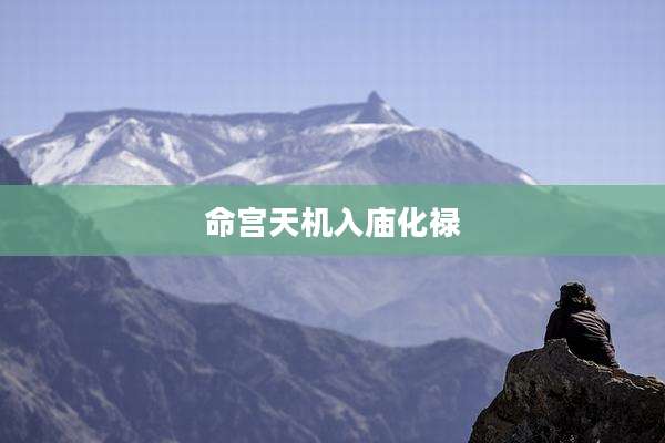 命宫天机入庙化禄