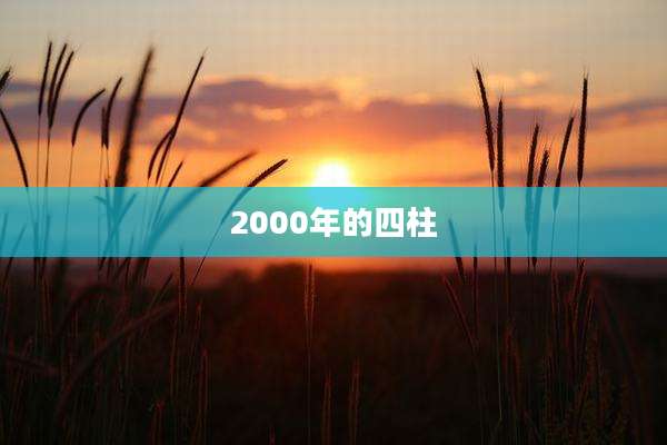 2000年的四柱
