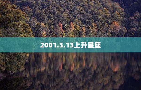 2001.3.13上升星座