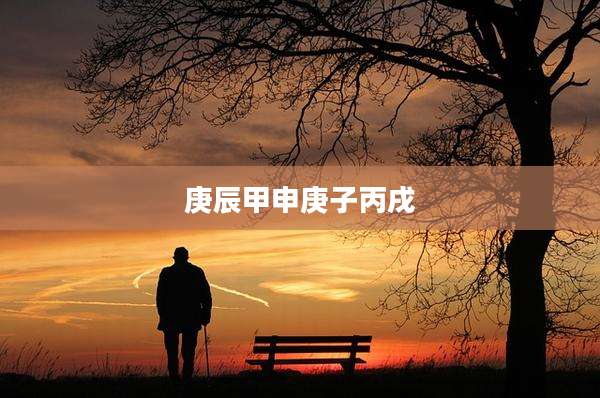 庚辰甲申庚子丙戌