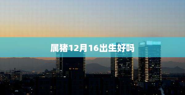 属猪12月16出生好吗