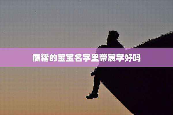 属猪的宝宝名字里带宸字好吗