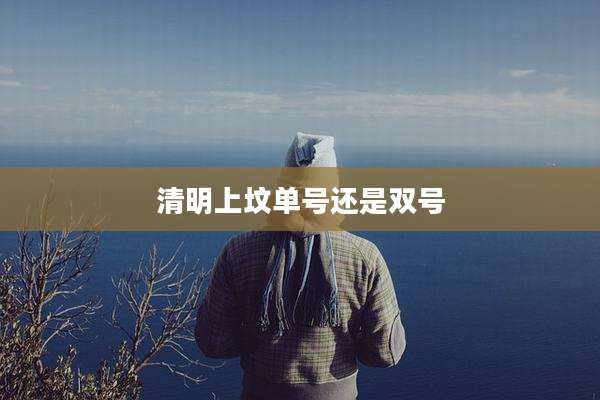 清明上坟单号还是双号