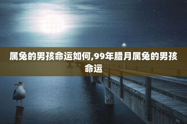 属兔的男孩命运如何,99年腊月属兔的男孩命运