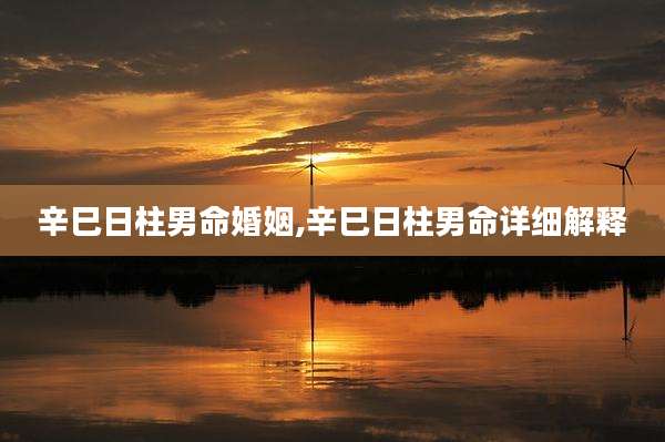辛巳日柱男命婚姻,辛巳日柱男命详细解释