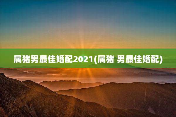 属猪男最佳婚配2021(属猪 男最佳婚配)