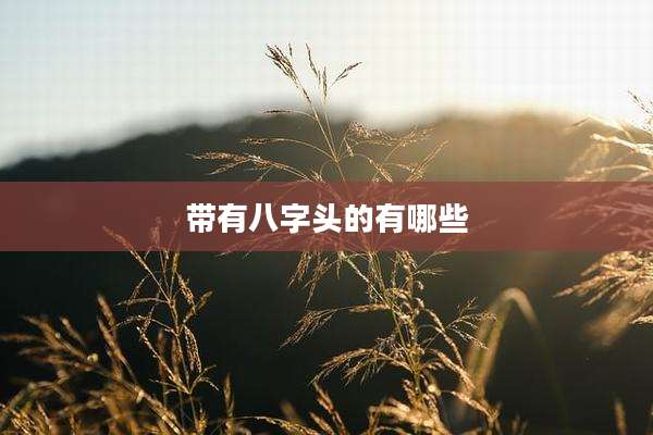 带有八字头的有哪些