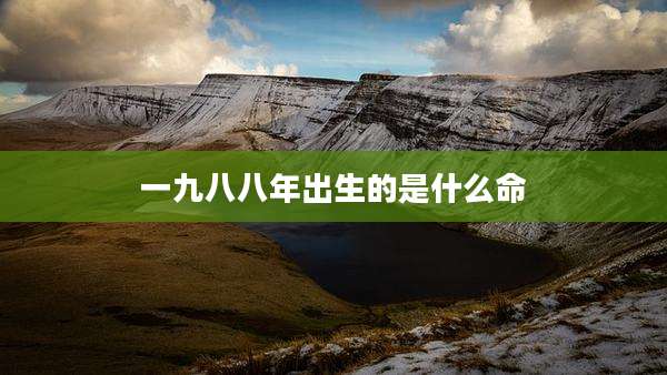 一九八八年出生的是什么命