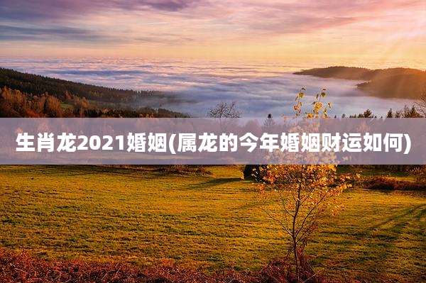 生肖龙2021婚姻(属龙的今年婚姻财运如何)