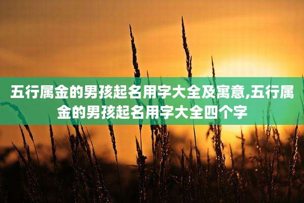 五行属金的男孩起名用字大全及寓意,五行属金的男孩起名用字大全四个字