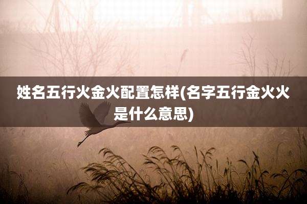姓名五行火金火配置怎样(名字五行金火火是什么意思)