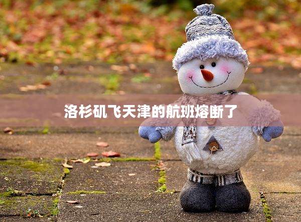 洛杉矶飞天津的航班熔断了