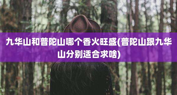 九华山和普陀山哪个香火旺盛(普陀山跟九华山分别适合求啥)