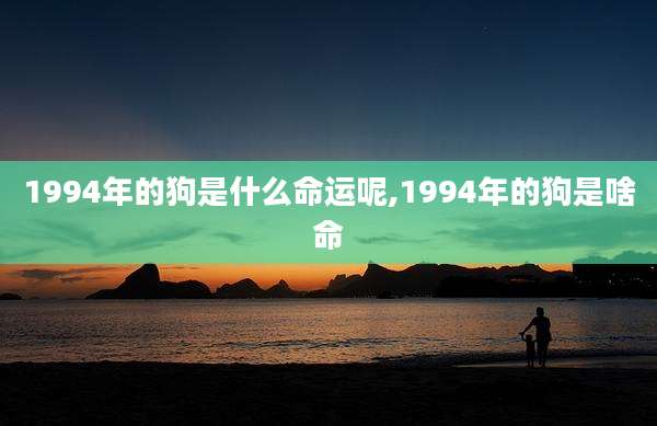 1994年的狗是什么命运呢,1994年的狗是啥命