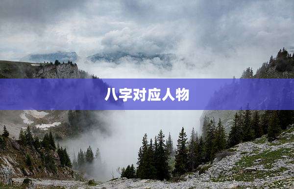 八字对应人物
