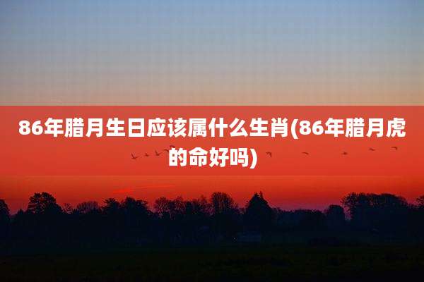 86年腊月生日应该属什么生肖(86年腊月虎的命好吗)