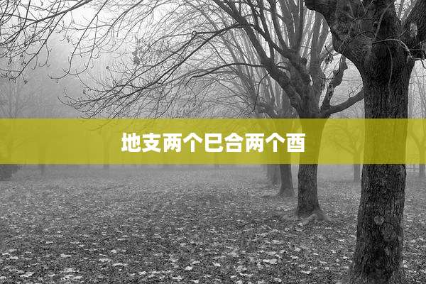 地支两个巳合两个酉