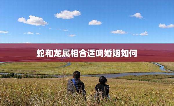 蛇和龙属相合适吗婚姻如何