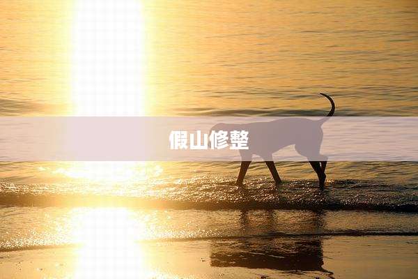 假山修整