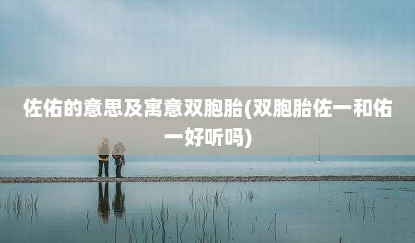 佐佑的意思及寓意双胞胎(双胞胎佐一和佑一好听吗)