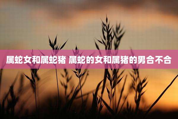 属蛇女和属蛇猪 属蛇的女和属猪的男合不合