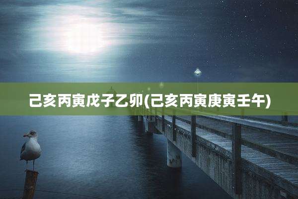 己亥丙寅戊子乙卯(己亥丙寅庚寅壬午)