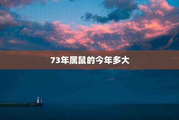 73年属鼠的今年多大