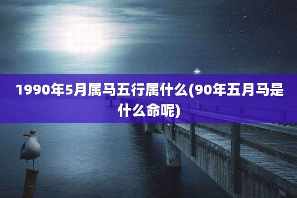 1990年5月属马五行属什么(90年五月马是什么命呢)