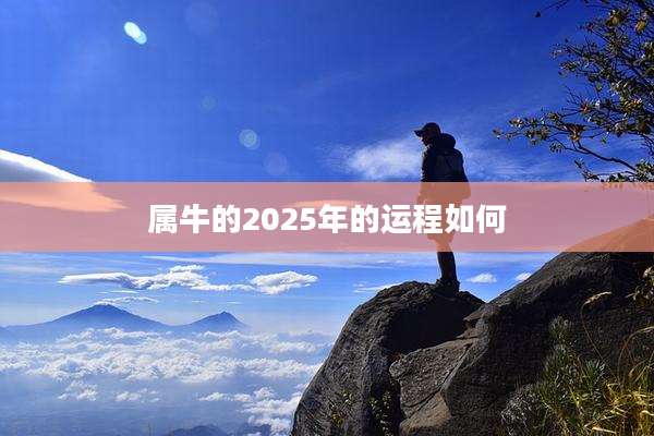 属牛的2025年的运程如何