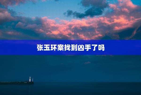 张玉环案找到凶手了吗