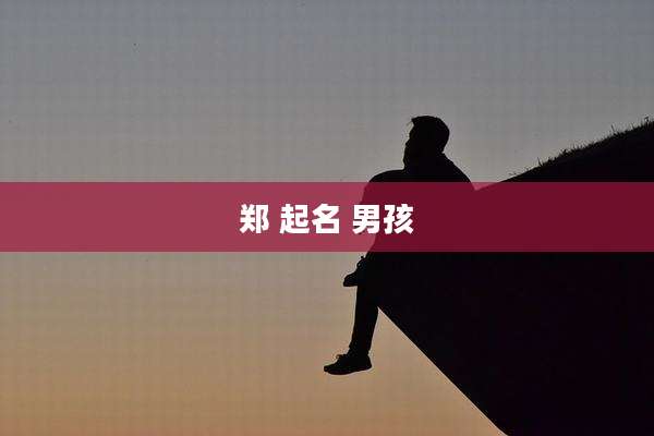 郑 起名 男孩